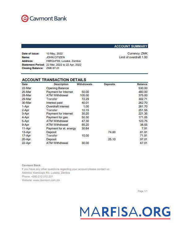 Blank Zambia Cavmont bank statement, excel sample